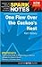 One Flew Over the Cuckoo's Nest (SparkNotes Literature Guide)