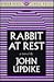 Rabbit At Rest