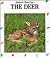 The Deer (Animal Close-Ups)
