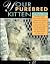 Your Purebred Kitten: A Buyers Guide