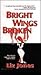 Bright Wings Broken