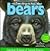Very First Things to Know About Bears