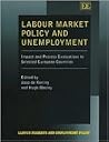 Labour Market Policy and Unemployment: Impact and Process Evaluations in Selected European Countries (Labour Markets and Employment Policy series)
