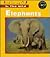 Elephants by Claire Robinson