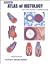Di Fiore's Atlas of Histology With Functional Correlations
