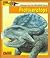 Looking At...Protoceratops: A Dinosaur from the Cretaceous Period (The New Dinosaur Collection)