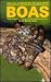 Boas and Other Nonvenomous Snakes by Frank Werner