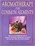 Aromatherapy for Common Ailments by Shirley Price