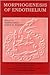 Morphogenesis of Endothelium (Endothelial Cell Research Series)