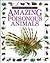 Amazing Poisonous Animals