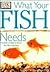 What Your Fish Needs