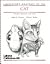 Laboratory Anatomy of The Cat by Robert B. Chiasson