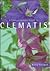 A Comprehensive Guide to Clematis