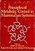 Principles of Metabolic Control in Mammalian Systems