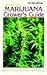 Marijuana Grower's Guide
