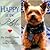 Happy at the Bel-Air by Gwen Davis