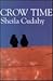Crow Time (New American Fiction)