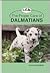Proper Care Dalmatians