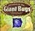 Invasion of the Giant Bugs:...