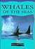 Whales of the Seas (Read All About Whales)
