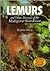 Lemurs and Other Animals of the Madagascar Rain Forest (Animals & the Environment)