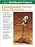 Championship Service Class Shorebirds (Wildfowl Carving Magazine Workbench Projects)