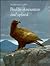 Bird Life of Mountain and Upland (Bird Life Series)