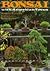Bonsai With American Trees