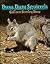 Busy, Busy Squirrels by Colleen Stanley Bare