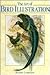 The Art of Bird Illustration