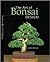 The Art of Bonsai Design by Colin Lewis