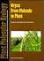 Oryza: From Molecule to Plant (Plant Molecular Biology, Vol 35, Nos 1-2,)