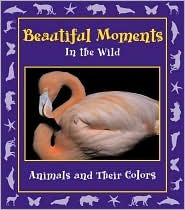 Beautiful Moments in the Wild: Animals and Their Colors (Moments in the Wild Series)
