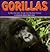 Gorillas (A Carolrhoda Nature Watch Book)