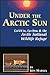 Under the Arctic Sun by Ken Madsen