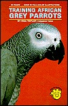 Training African Grey Parrots (Hardcover)
