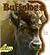 Buffaloes (Giant Animals)