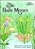 The Story of Baby Moses (An...