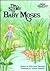 The Story of Baby Moses (An Alice in Bibleland Storybook)