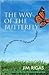 The Way of the Butterfly: A Scientific Speculation on God and the Hereafter
