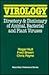 Virology: Directory & Dictionary of Animal Bacterial and Plant Viruses