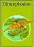 Dimorphodon (Dinosaur Library)