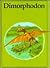 Dimorphodon (Dinosaur Library)