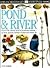Pond & River