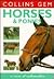 Horses and Ponies