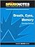 Breath, Eyes, Memory (SparkNotes Literature Guide Series)
