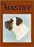 Mastiff