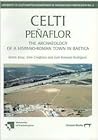 Celti (Penaflor): The Archaeology of a Hispano-Roman Town in Baetica. Survey and Excavations 1987-1992 (University of Southampton Department of Archaeology Monograph) Celti (Penaflor): The Archaeology of a Hispano-Roman Town in Baetica. Survey and Excavations 1987-1992 (University of Southampton Department of Archaeology Monograph)