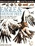 Eagle & Birds of Prey
