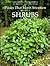Plants That Merit Attention: Shrubs